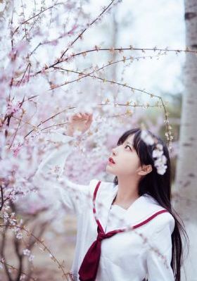 芈月传81集高清免费观看_视频大全成人直接看